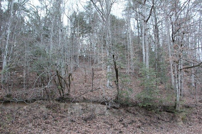 0 Parcel 058.00 Pearl Valley Road Sevierville, TN 37876 - Photo 13 of 13 Gallery Image 13