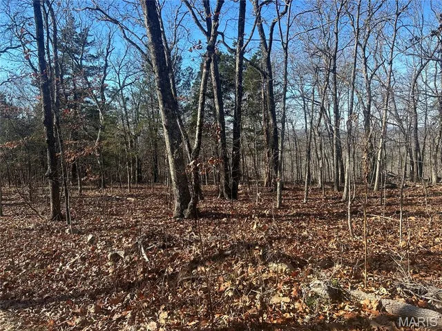 $74,000 | 302 Madison Cr, Fredericktown, MO 63645