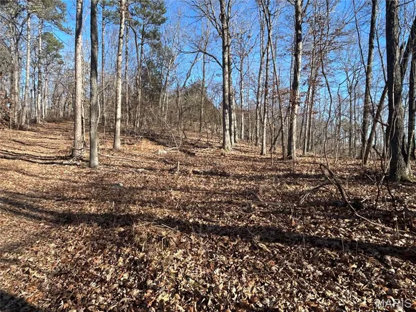 $74,000 | 302 Madison Cr, Fredericktown, MO 63645