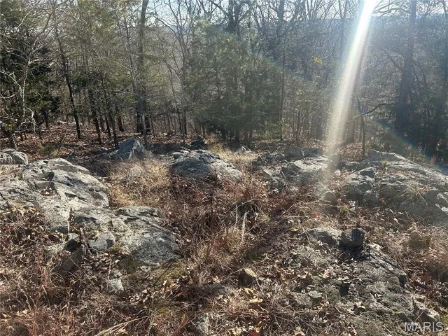 $74,000 | 302 Madison Cr, Fredericktown, MO 63645