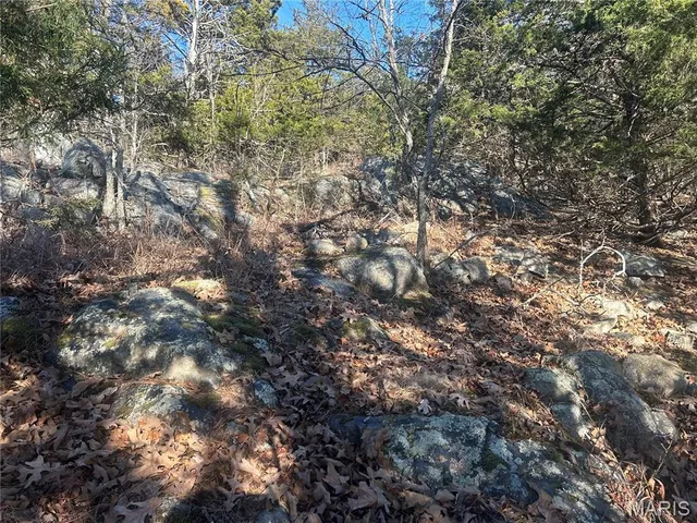 $74,000 | 302 Madison Cr, Fredericktown, MO 63645