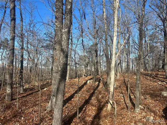 $74,000 | 302 Madison Cr, Fredericktown, MO 63645