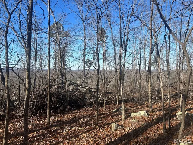 $74,000 | 302 Madison Cr, Fredericktown, MO 63645