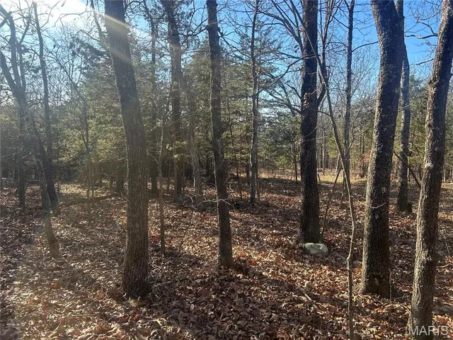 $74,000 | 302 Madison Cr, Fredericktown, MO 63645