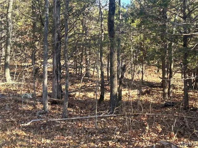 $74,000 | 302 Madison Cr, Fredericktown, MO 63645