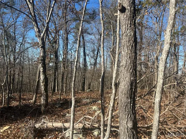 $74,000 | 302 Madison Cr, Fredericktown, MO 63645