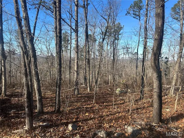 $74,000 | 302 Madison Cr, Fredericktown, MO 63645