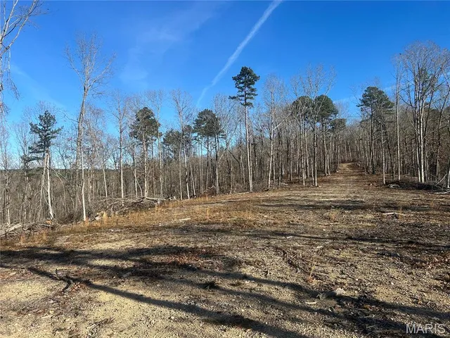 $74,000 | 302 Madison Cr, Fredericktown, MO 63645