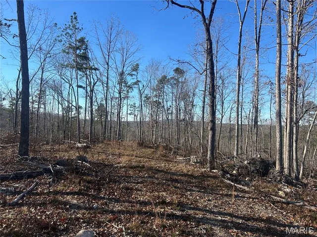 $74,000 | 302 Madison Cr, Fredericktown, MO 63645