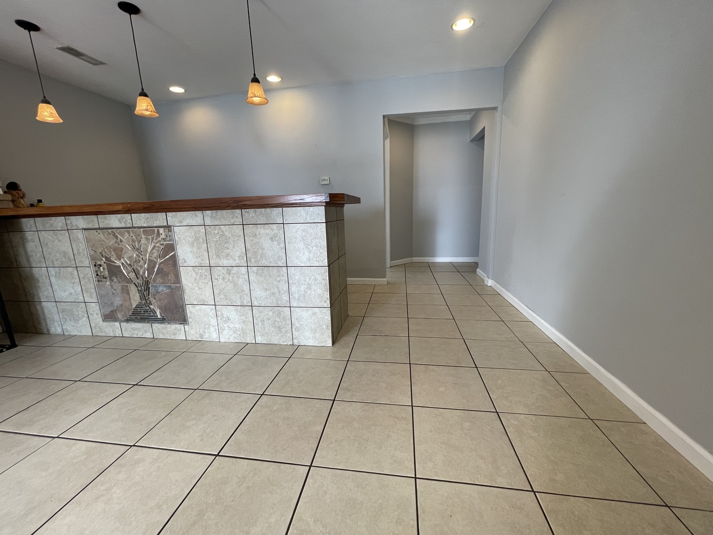 29005 North 1100 E Road Blackstone, IL 61313 - Photo 5 of 35 Gallery Image 5