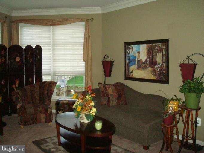 a living room with furniture potted plant and a window