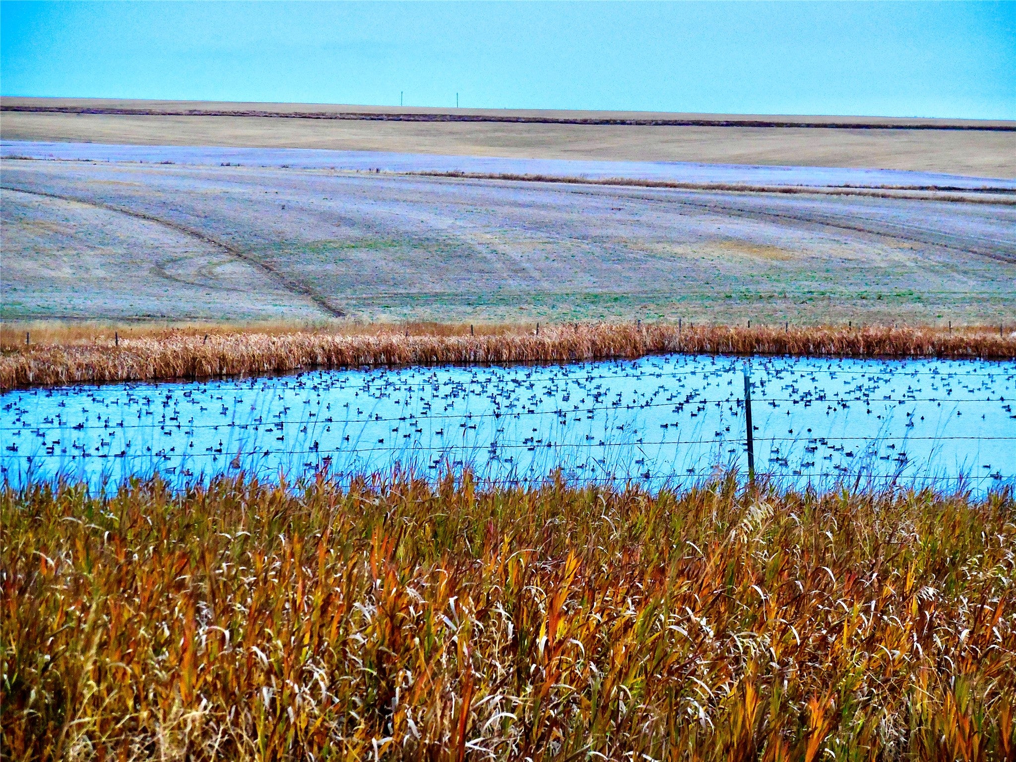0 Buena Vista Road Valier, MT 59486 - Photo 48 of 76 Gallery Image 48