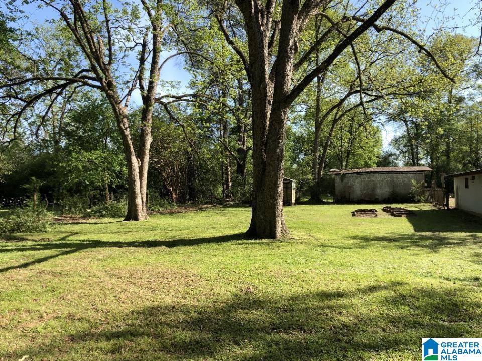 407 1st Street North Reform, AL 35481 - Photo 13 of 13