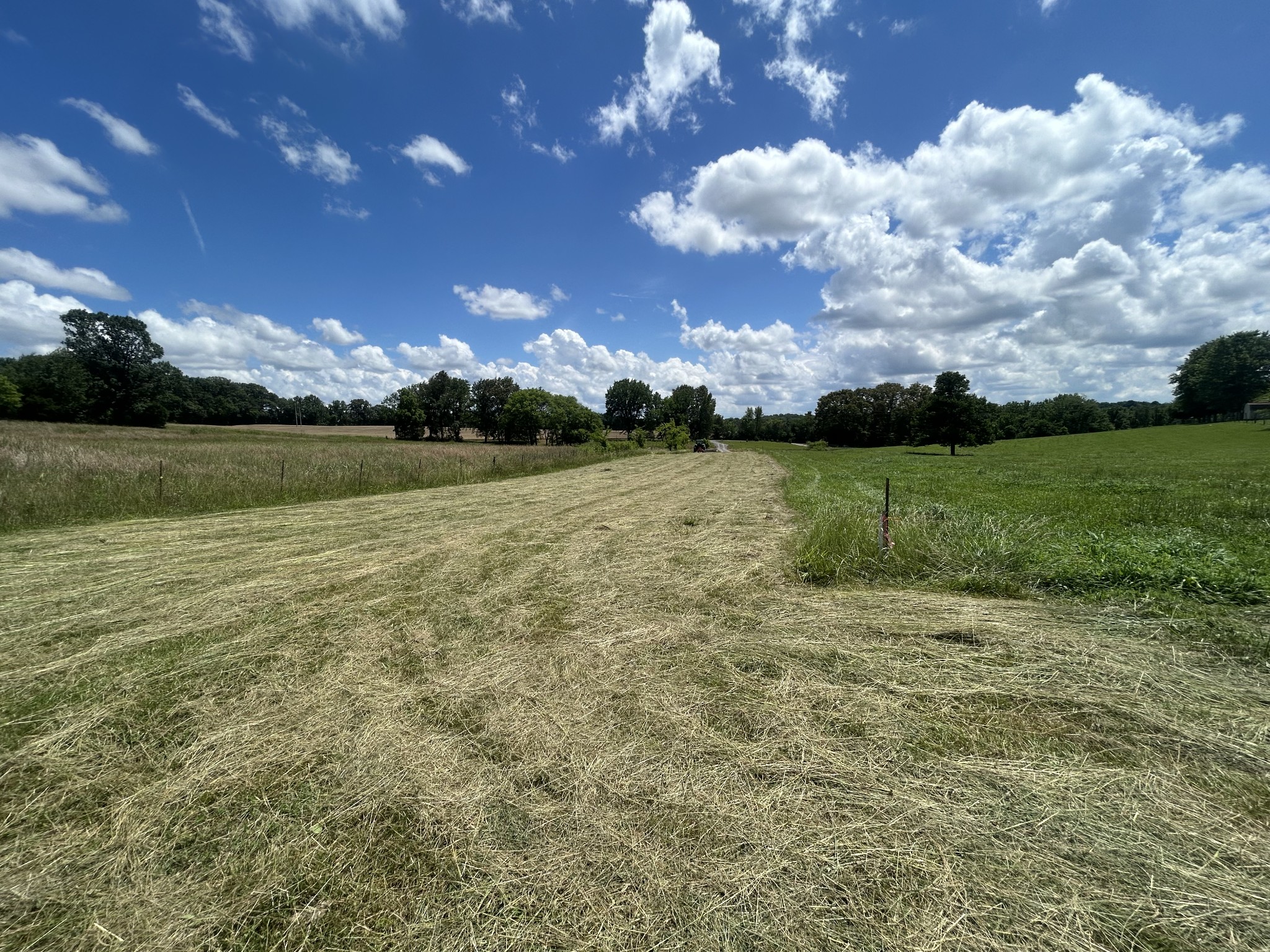 5960 Valley Road Springfield, TN 37172 - Photo 6 of 9