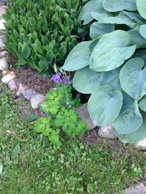 4032 South Mill Road Dryden, MI 48428 - Photo 19 of 24