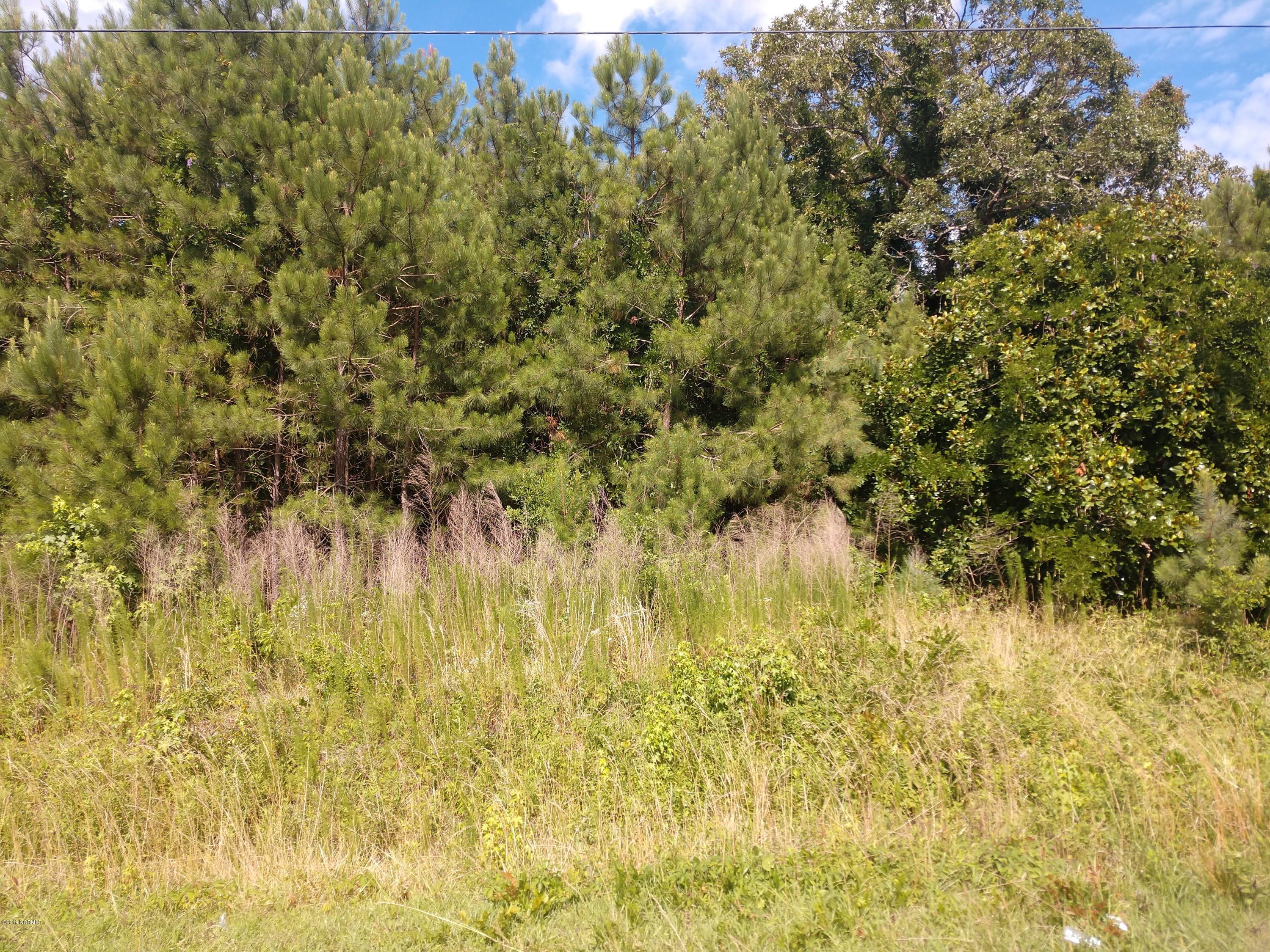 156 Kellumtown Road Hubert, NC 28539 - Photo 2 of 3 IMG_20190618_161631097