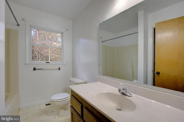 a view of a yard with a house and a tree