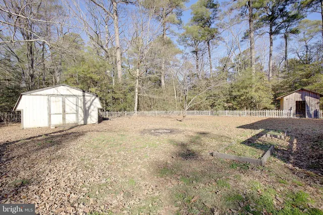 a view of backyard with large trees