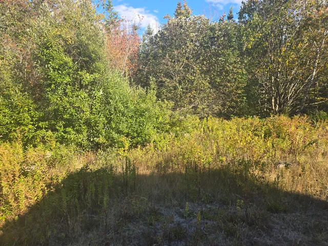 $45,000 | 92 Wilcox Road, Lubec, ME 04652