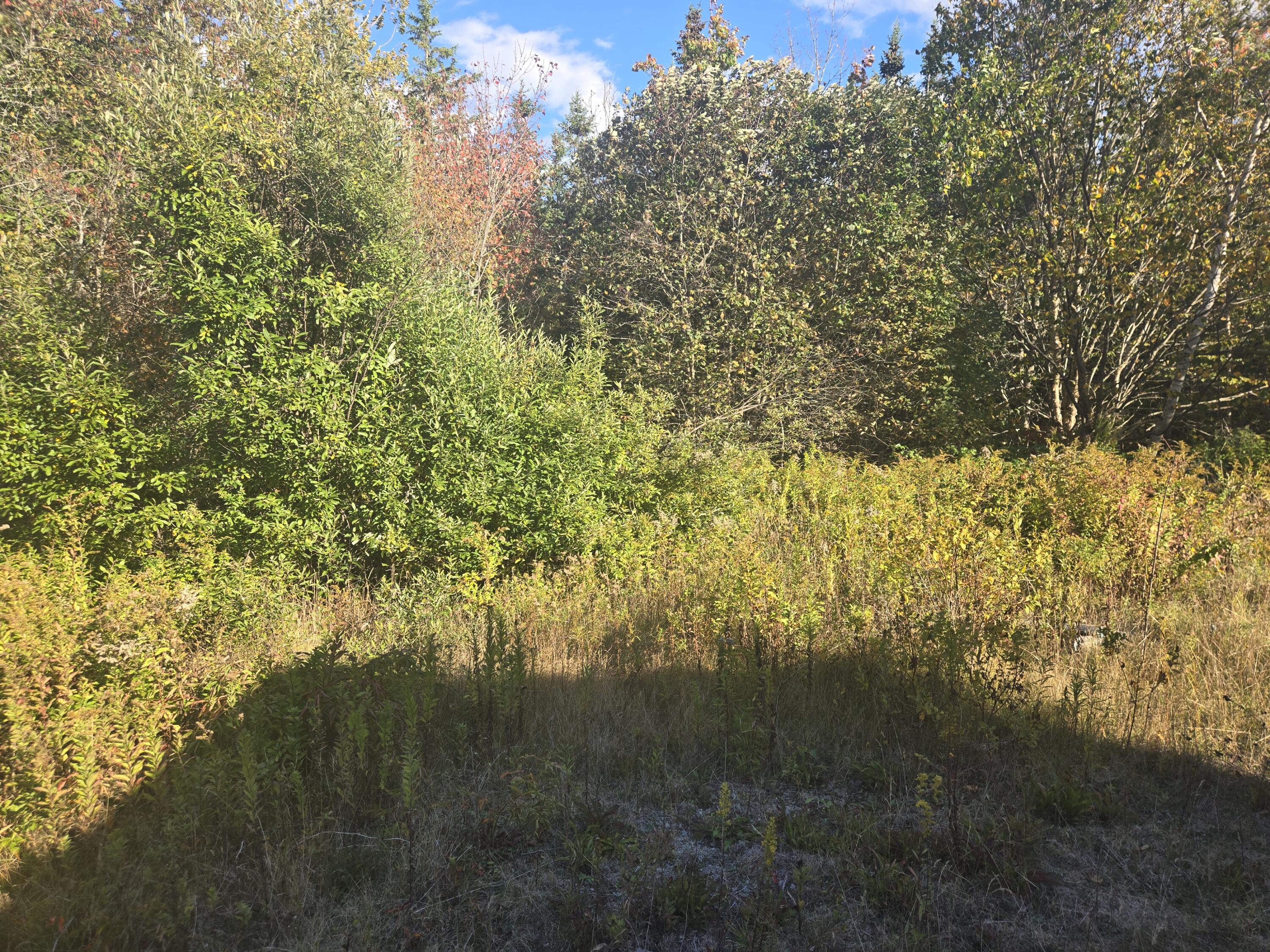 92 Wilcox Road Lubec, ME 04652 - Photo 17 of 18 20250930_155302