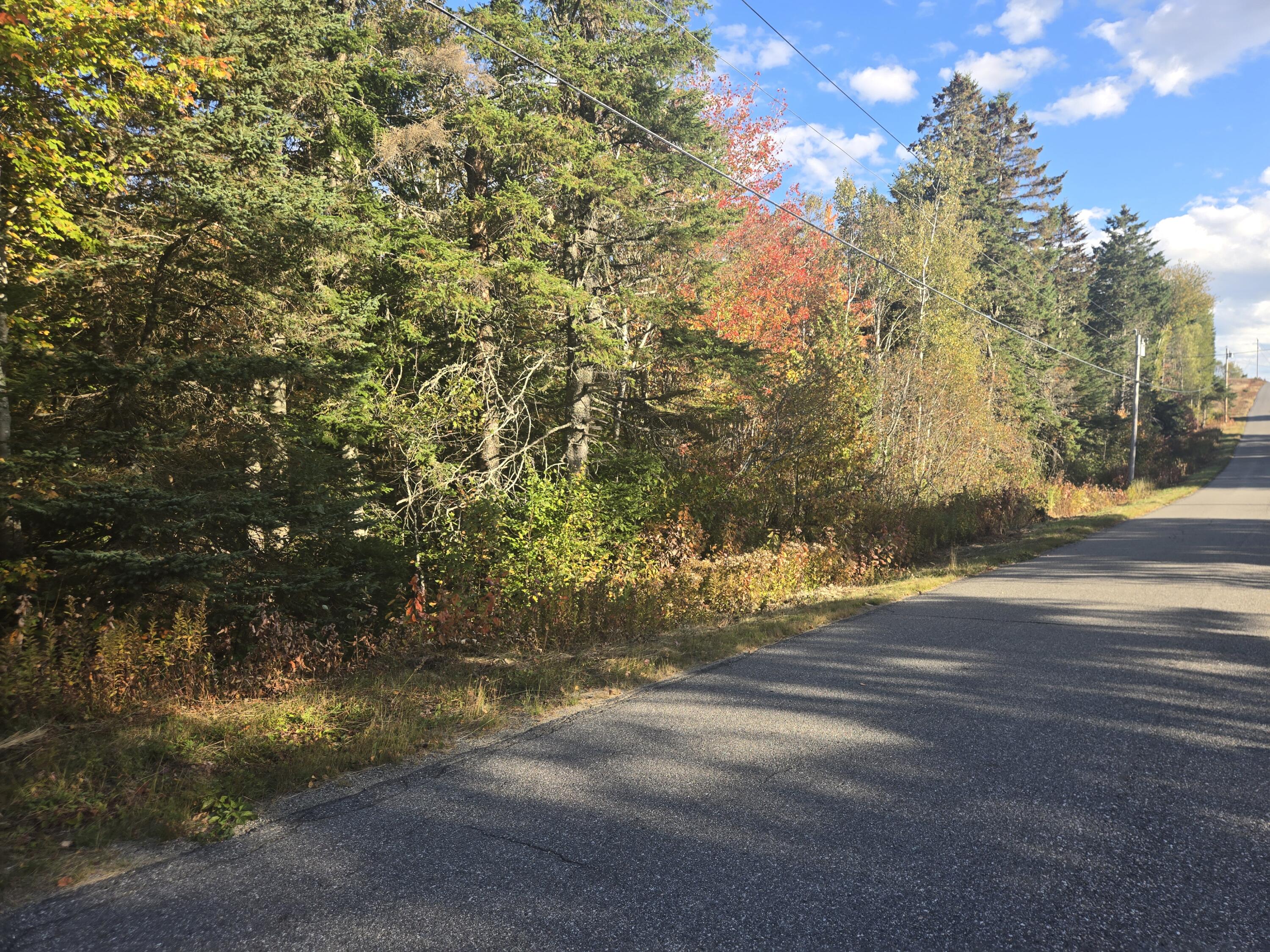 92 Wilcox Road Lubec, ME 04652 - Photo 2 of 18 20250930_160347