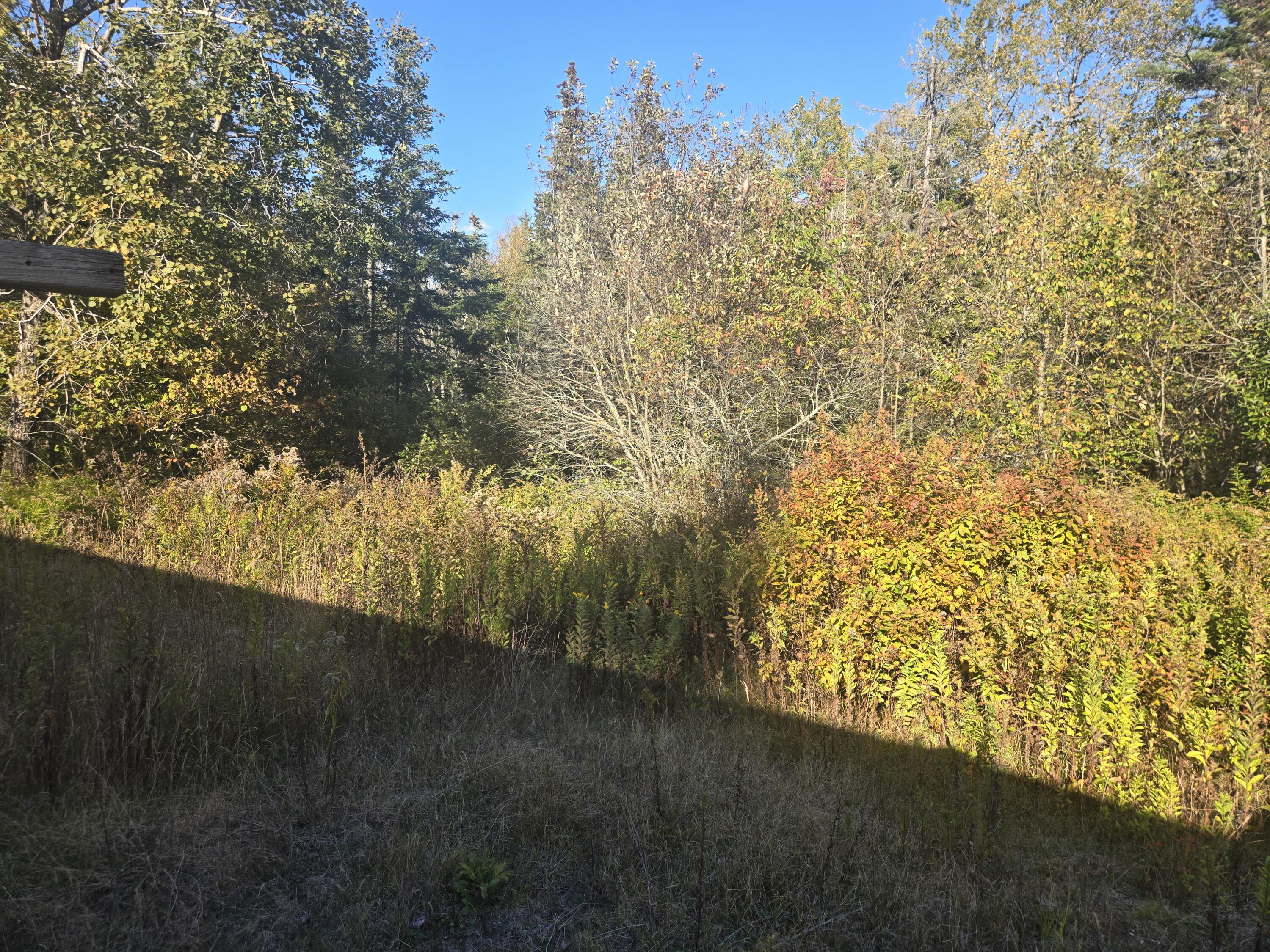 92 Wilcox Road Lubec, ME 04652 - Photo 3 of 18 20250930_155259