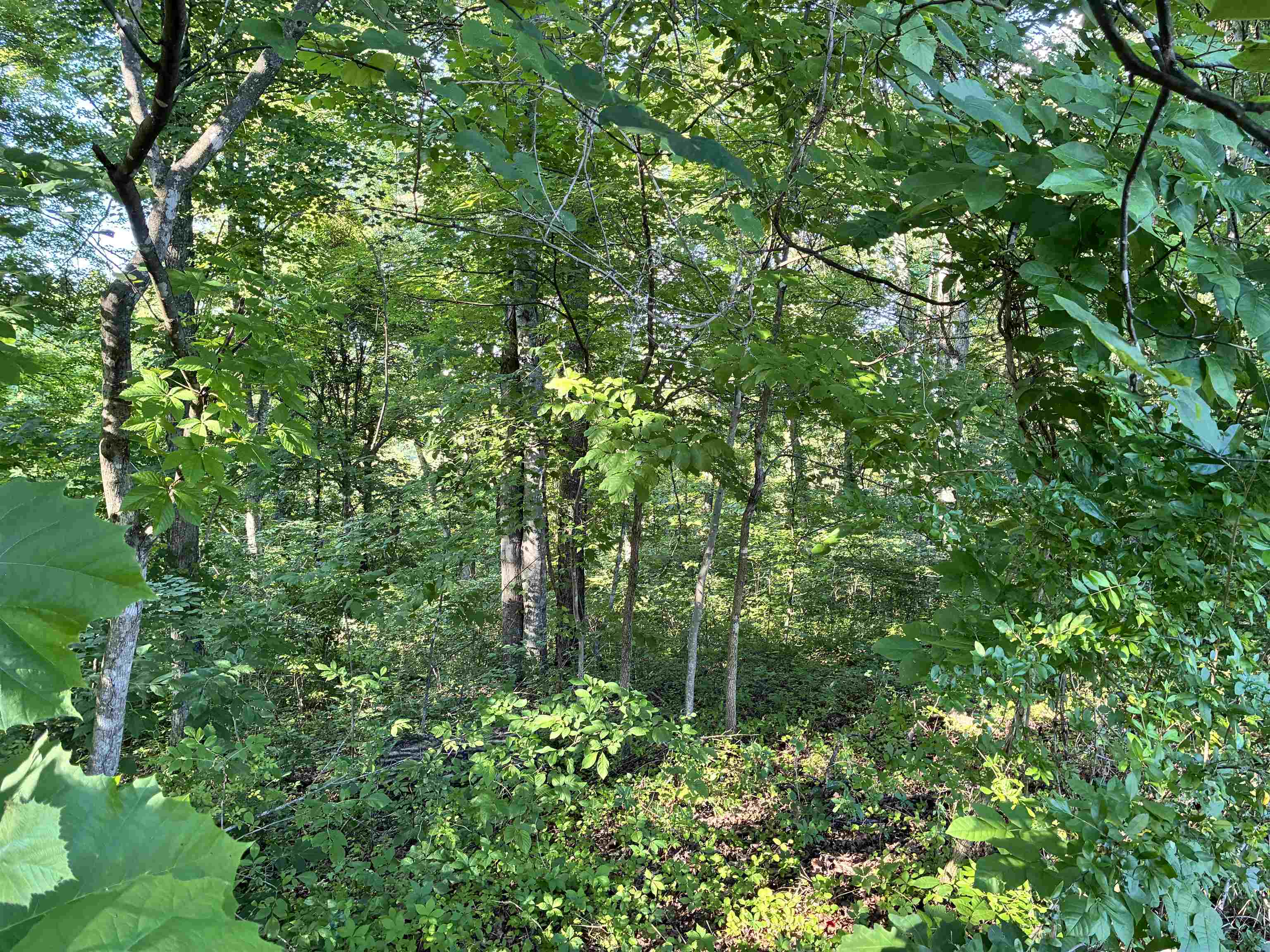 312 Vaughn Road Louisa, KY 41230 - Photo 2 of 5
