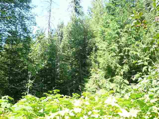 672 Jermain Road Newport, WA 99156 - Photo 2 of 7