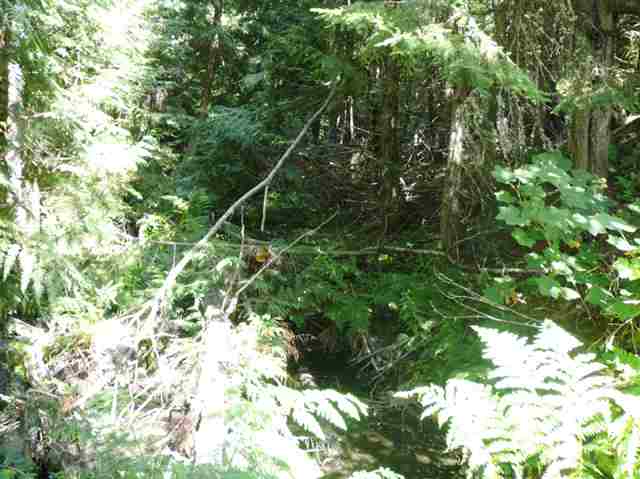 672 Jermain Road Newport, WA 99156 - Photo 3 of 7
