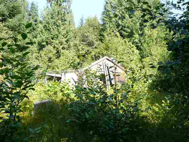 672 Jermain Road Newport, WA 99156 - Photo 4 of 7