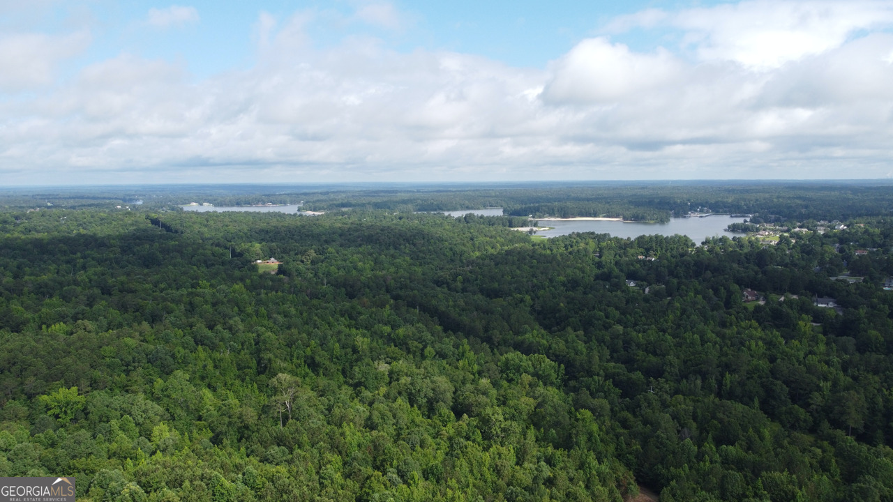6411 Columbus Road Lizella, GA 31052 - Photo 2 of 11