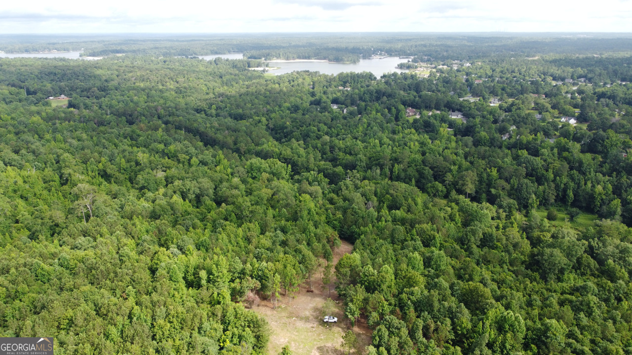 6411 Columbus Road Lizella, GA 31052 - Photo 3 of 11