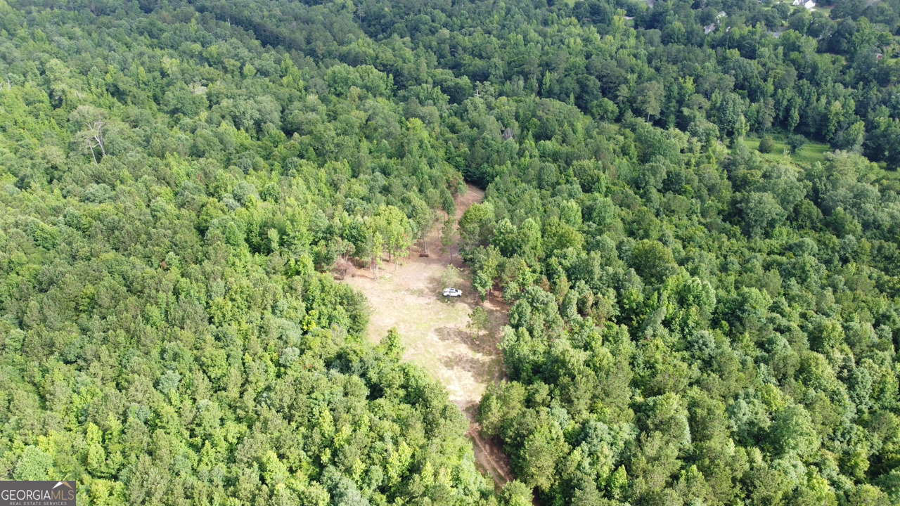 6411 Columbus Road Lizella, GA 31052 - Photo 4 of 11