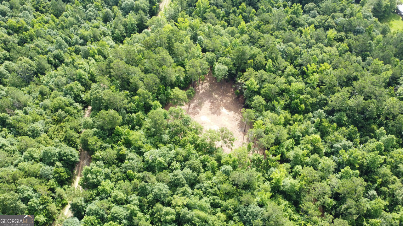 6411 Columbus Road Lizella, GA 31052 - Photo 5 of 11