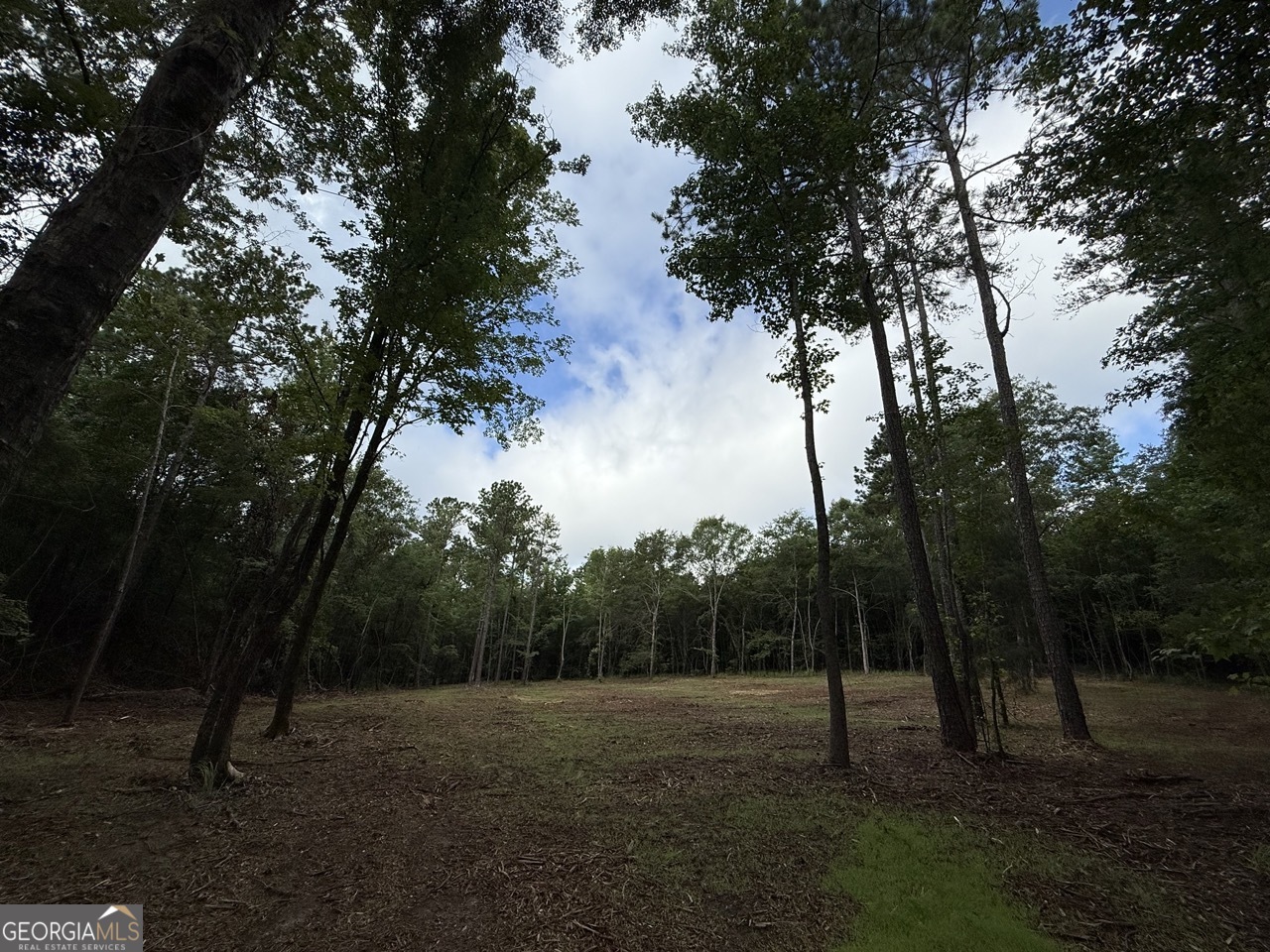 6411 Columbus Road Lizella, GA 31052 - Photo 7 of 11