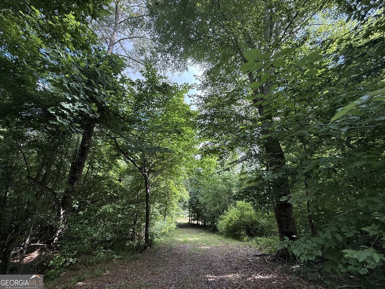 6411 Columbus Road Lizella, GA 31052 - Photo 9 of 11