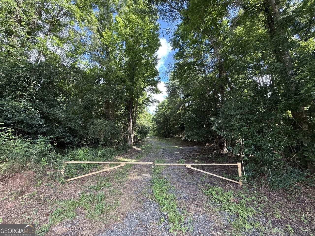 6411 Columbus Road Lizella, GA 31052 - Photo 10 of 11