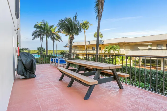 a view of a garden with plants