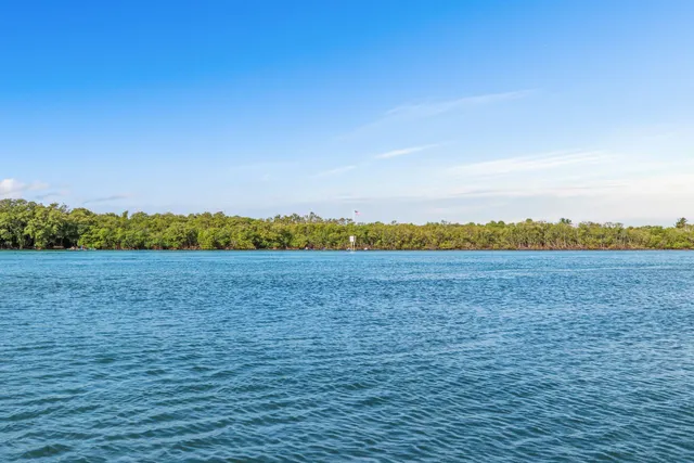 a view of a back yard of the tree