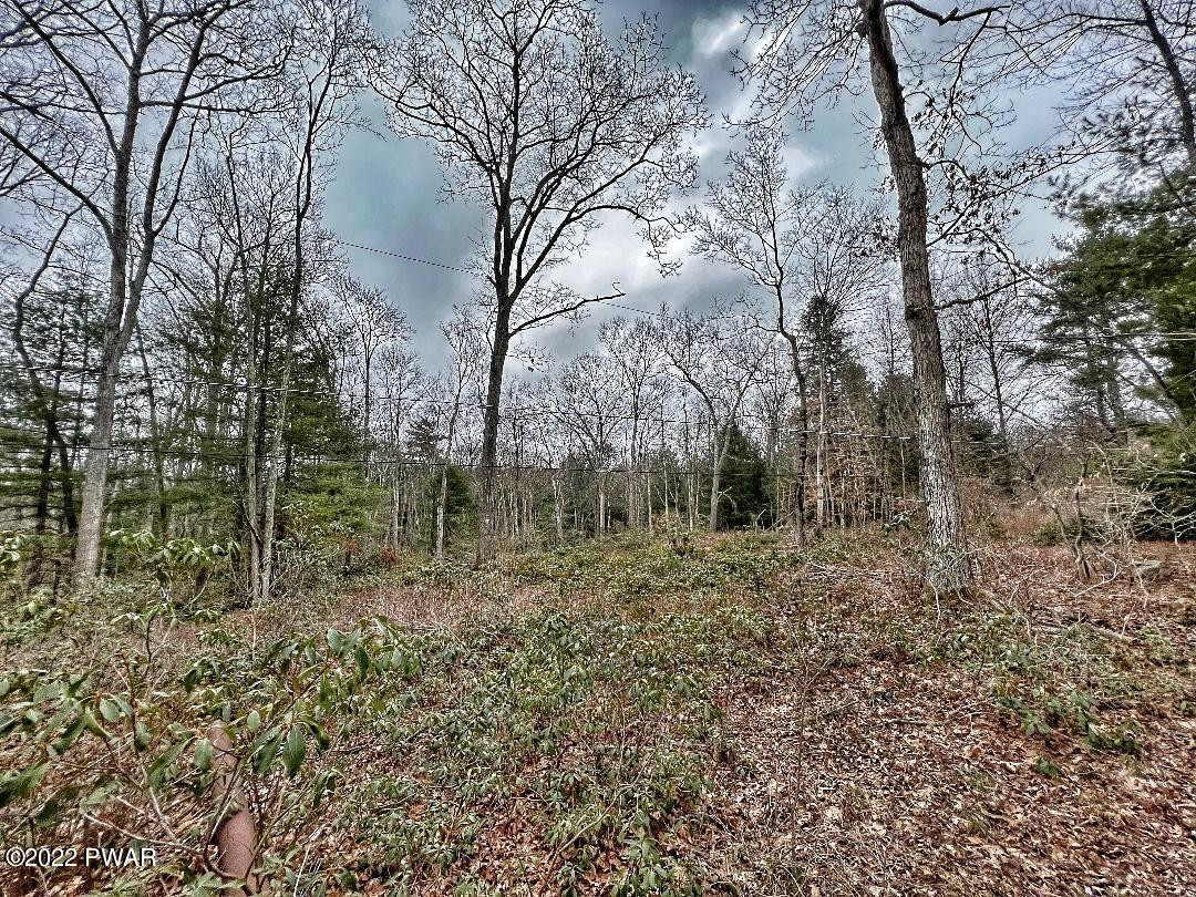 Lot 116 Red Shale Road Hawley, PA 18428 - Photo 2 of 4