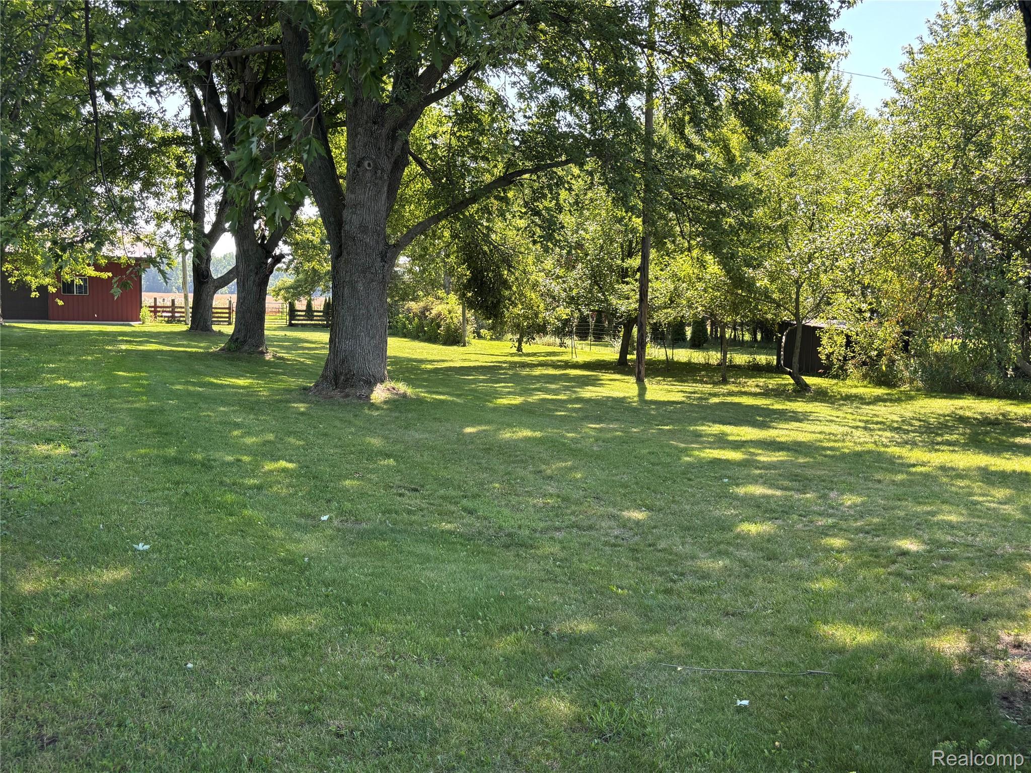 8531 South Waldron Road Pittsford, MI 49271 - Photo 33 of 40 Yard
