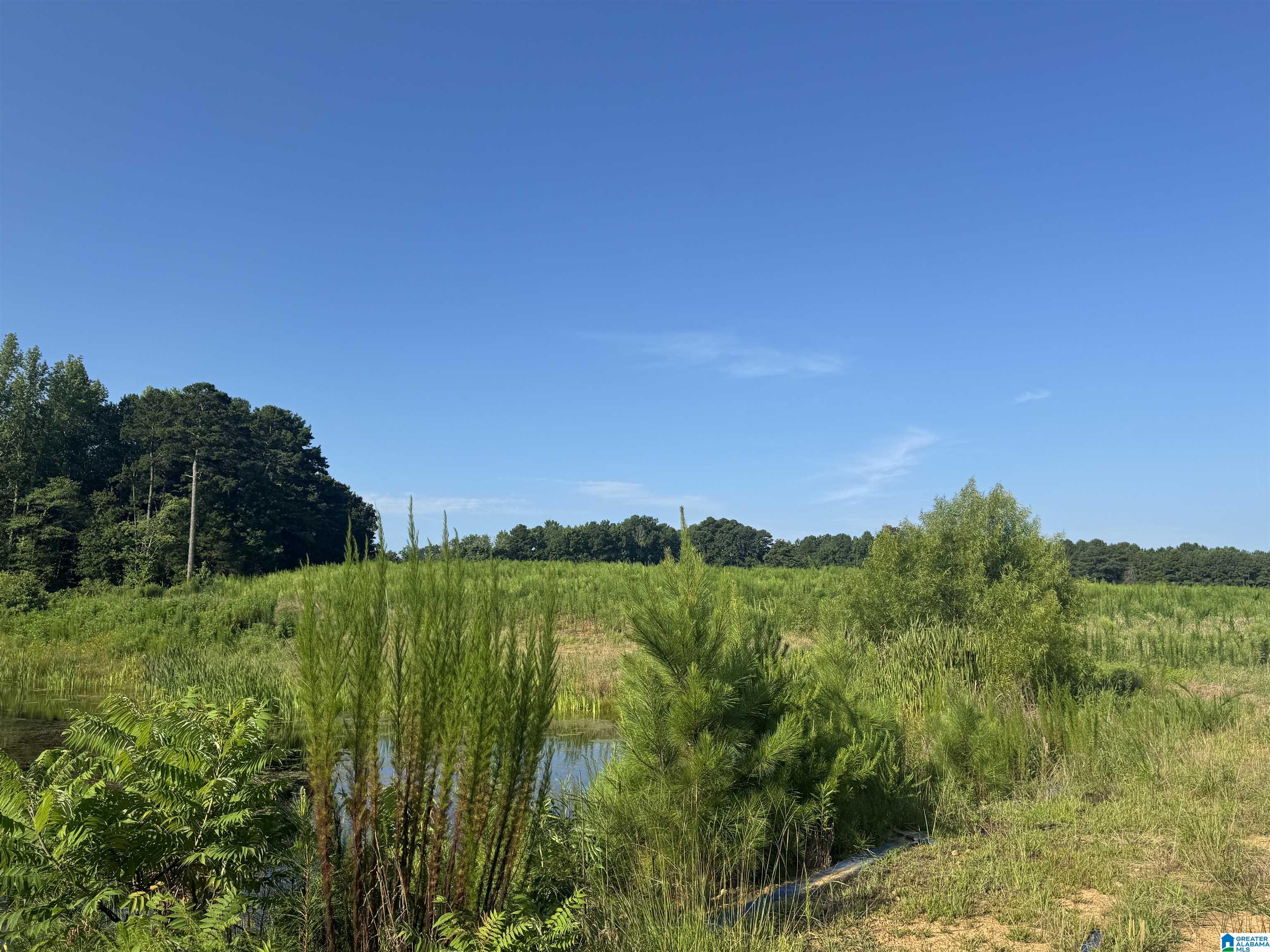 0 County Highway 27, Unit 47 Springville, AL 35146 - Photo 34 of 53