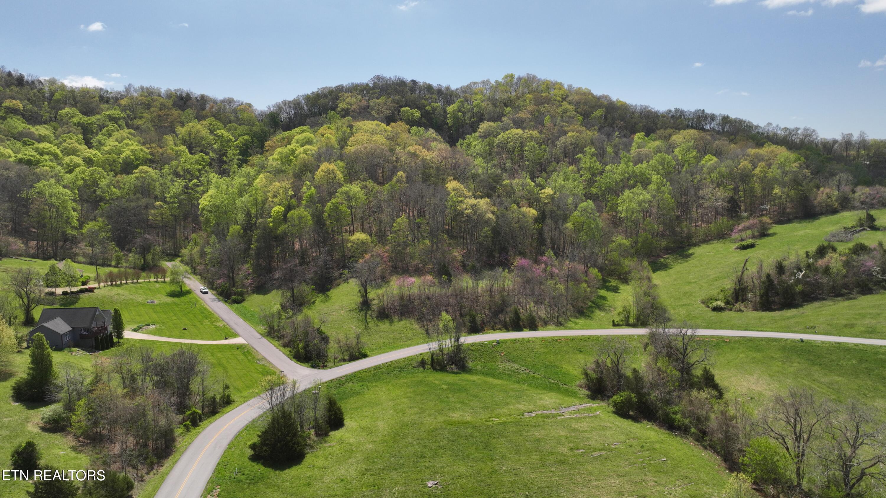 Lot 319 Russell Br Road Sharps Chapel, TN 37866 - Photo 8 of 20 L#319 Sunset Bay, Norris Lake