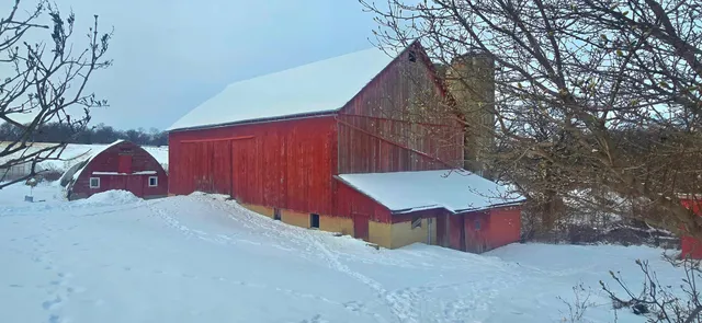 $442,500 | 15514 341st Avenue, Harmony, MN 55939