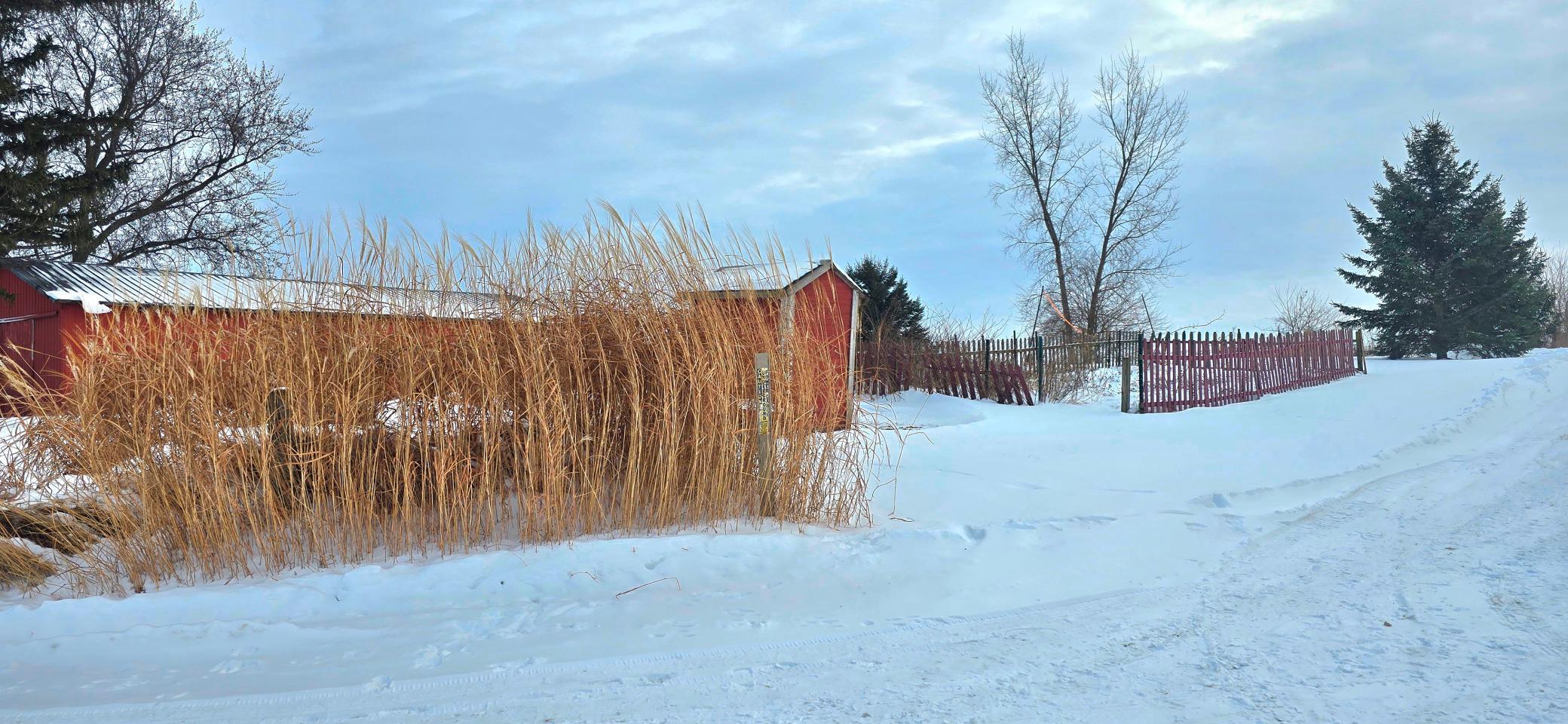 15514 341st Avenue Harmony, MN 55939 - Photo 54 of 66
