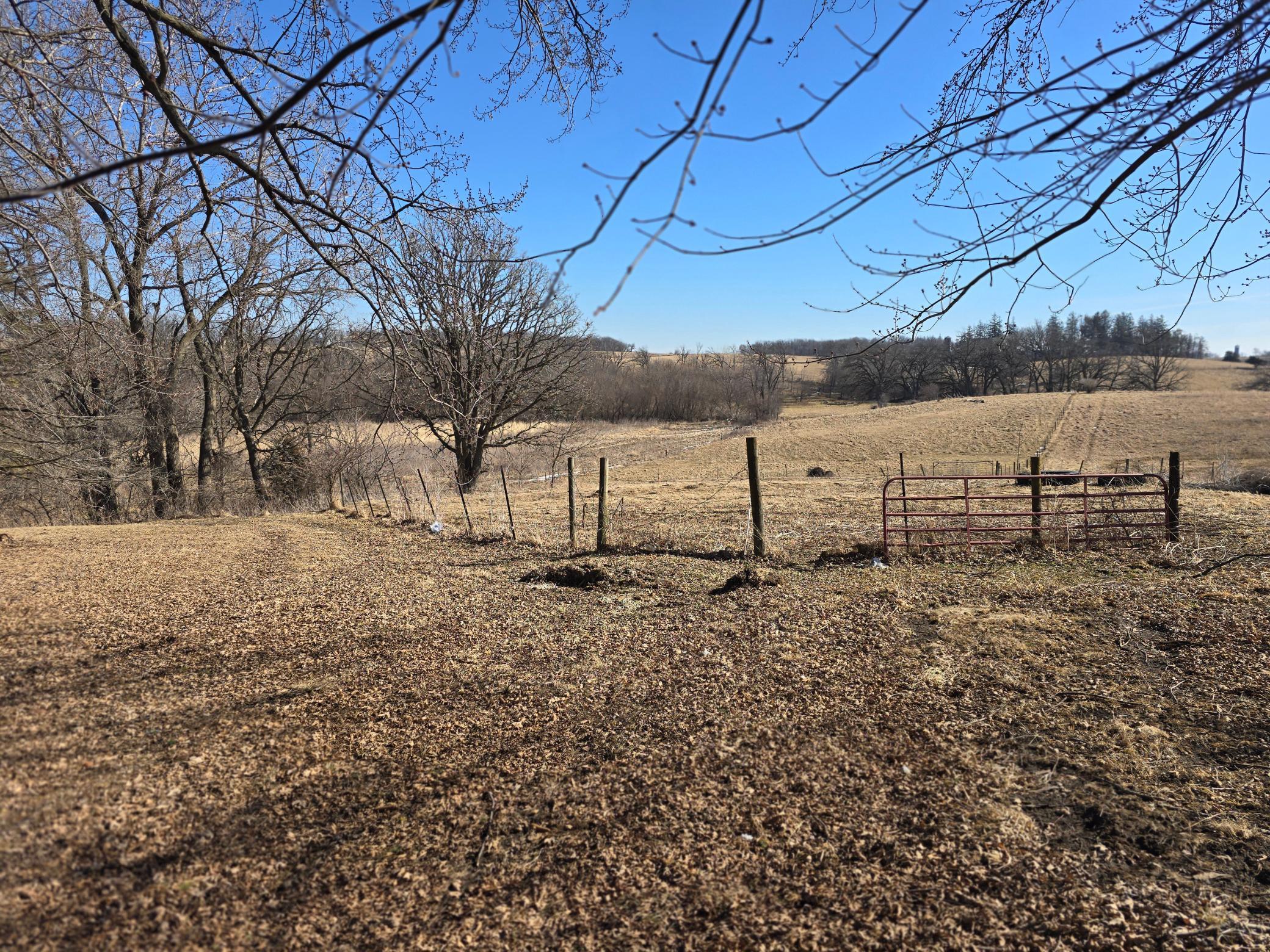 15514 341st Avenue Harmony, MN 55939 - Photo 63 of 73