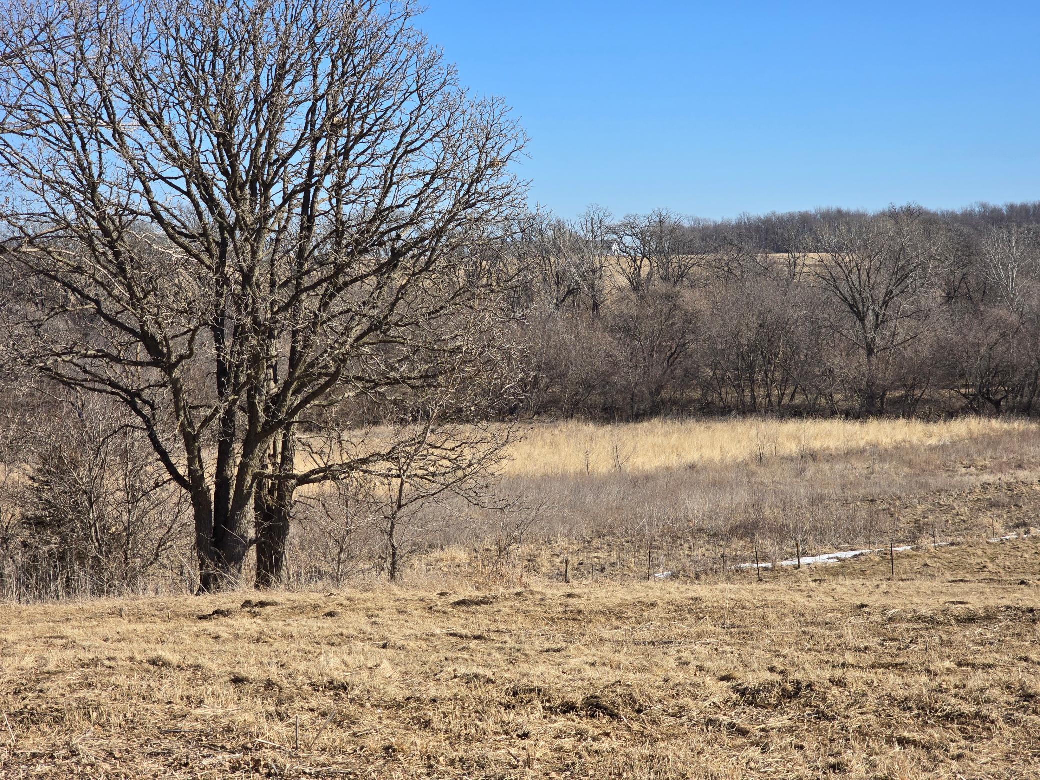 15514 341st Avenue Harmony, MN 55939 - Photo 66 of 73