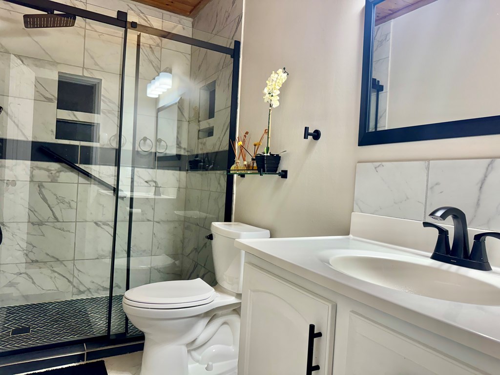 290 Ruby Lane Ellijay, GA 30540 - Photo 5 of 34 a bathroom with a sink a toilet and shower