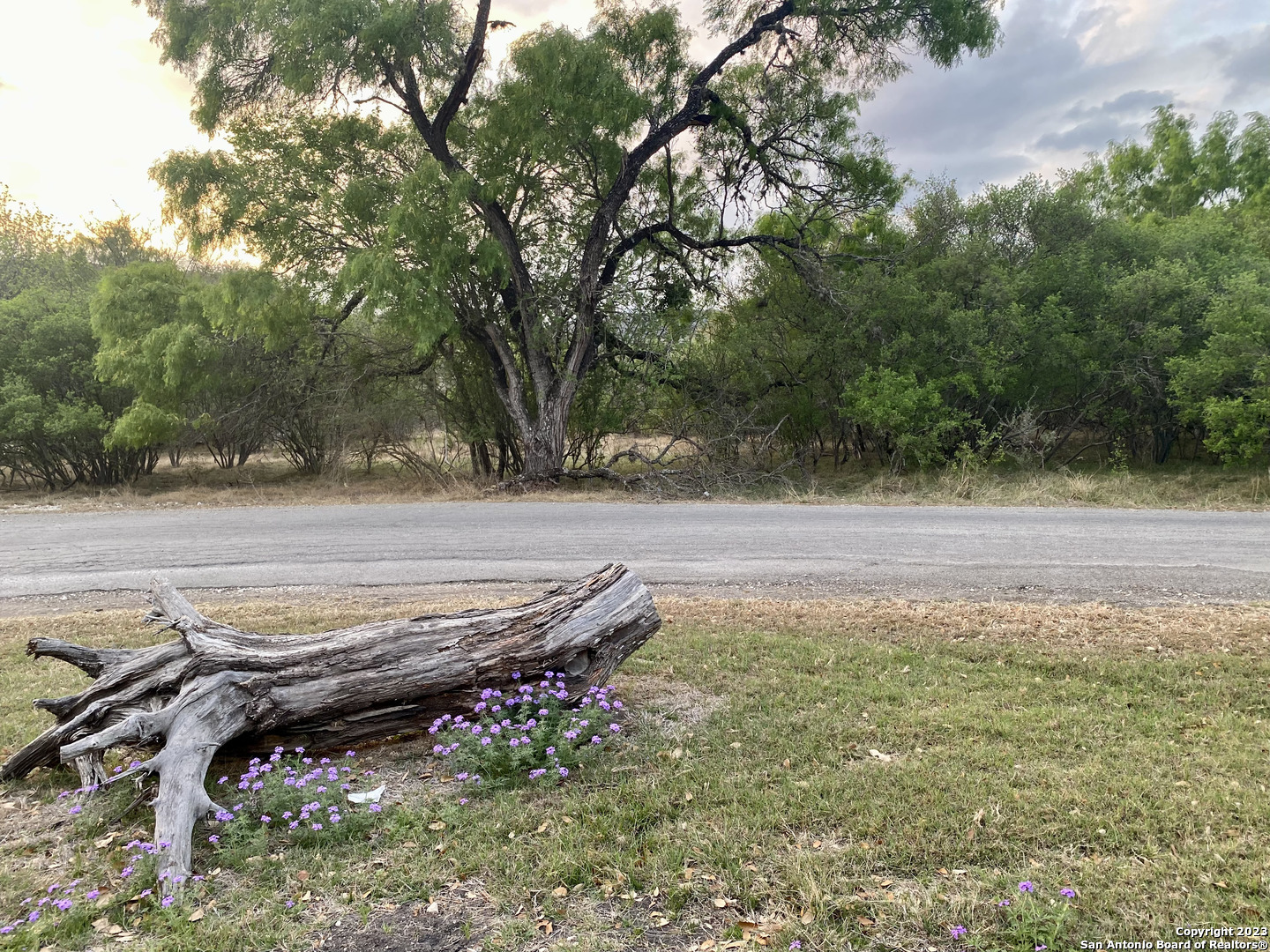 91 Lantana Concan, TX 78838 - Photo 2 of 4