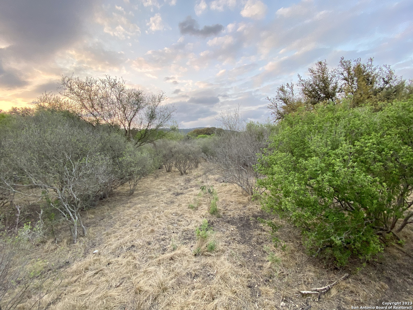 91 Lantana Concan, TX 78838 - Photo 3 of 4